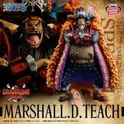 ワンピース DXF～THE GRANDLINE SERIES～SPECIAL MARSHALL.D.TEACH