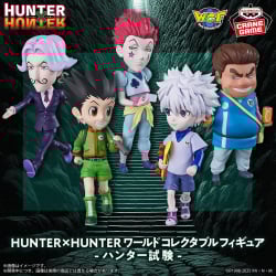 HUNTER×HUNTER ワールドコレクタブルフィギュア-ハンター試験-